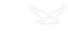 Financieel Vooruit